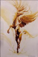 Pegaso nel sole