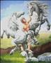  Rassegna internazionale d' Arte  ( 2007 )